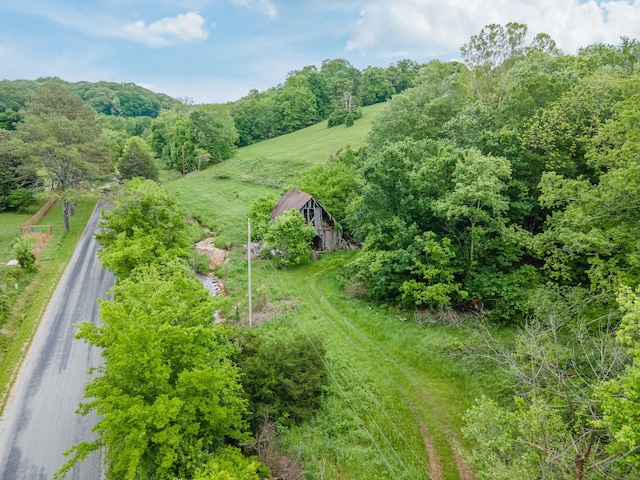 2222 Mack Branch Rd, Lynnville, TN 38472 - photo 20