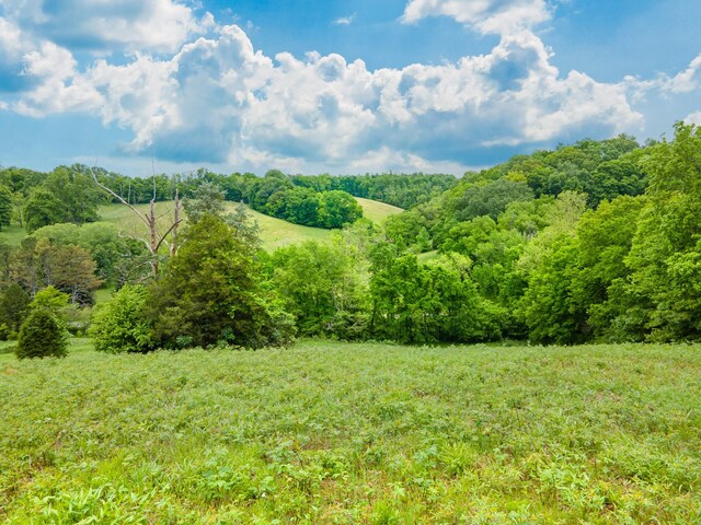 2222 Mack Branch Rd, Lynnville, TN 38472 - photo 67