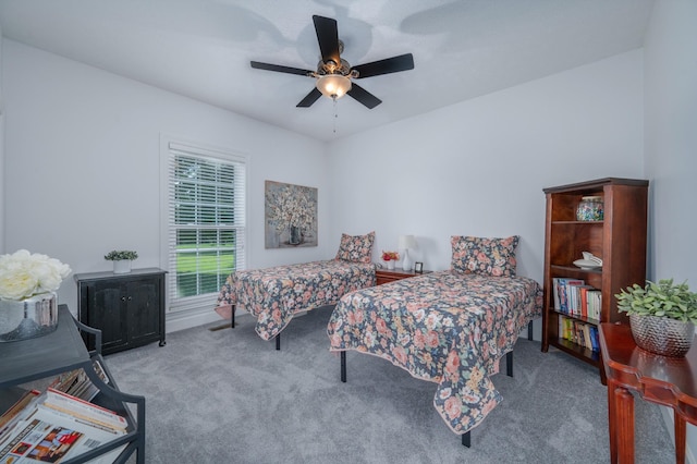 215 W Longview Dr, Portland, TN 37148 - photo 22