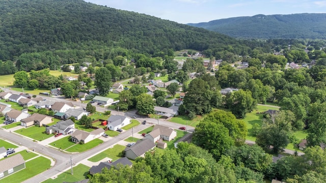 314 W 2nd St, Jasper, TN 37347 - bird's eye view of a forest and a mountain backdrop
