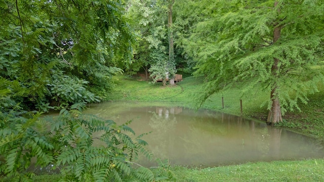 1204 Bobs Ln, Mount Pleasant, TN 38474 - photo 52