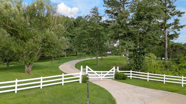 1204 Bobs Ln, Mount Pleasant, TN 38474 - photo 51