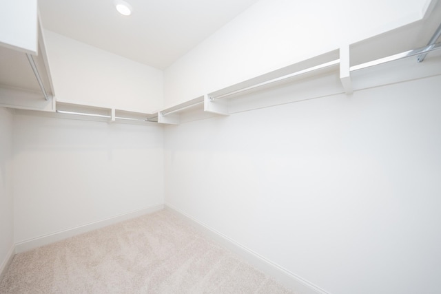 5416 Bridgemore Blvd, Murfreesboro, TN 37129 - walk in closet with carpet flooring