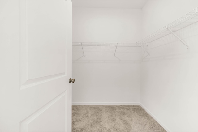 1421 English Oak Dr, Clarksville, TN 37043 - photo 22