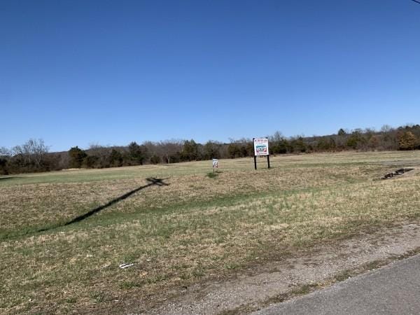 8 Hartmann Dr, Lebanon, TN 37087 - photo 3
