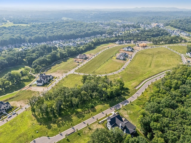 8518 Blanton Ct, College Grove, TN 37046 - photo 4