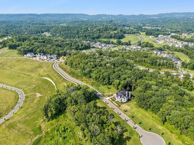 8518 Blanton Ct, College Grove, TN 37046 - photo 5
