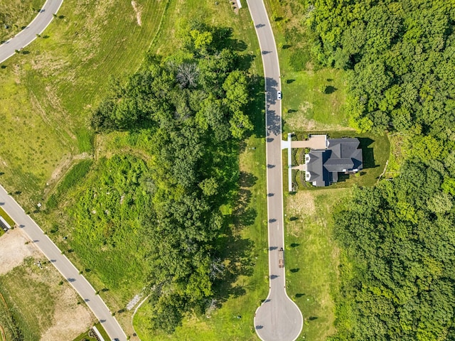 8518 Blanton Ct, College Grove, TN 37046 - photo 8