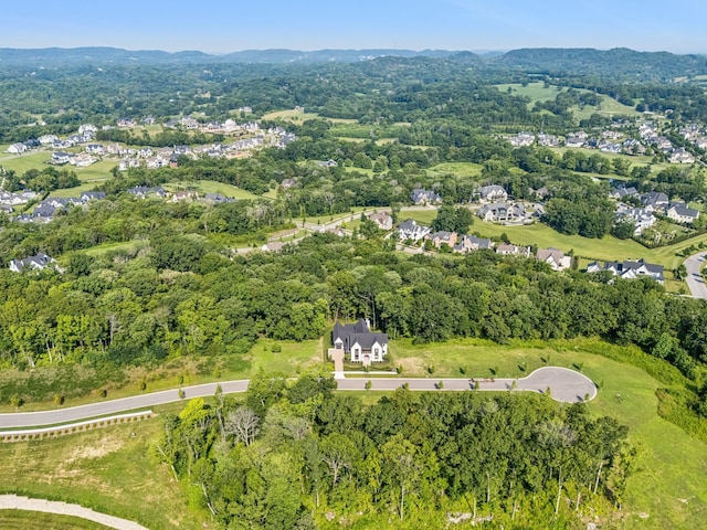 8518 Blanton Ct, College Grove, TN 37046 - photo 6