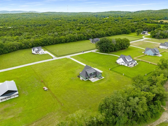 6477 Simmons Acres Ln, Lascassas, TN 37085 - photo 87