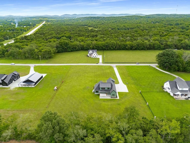6477 Simmons Acres Ln, Lascassas, TN 37085 - photo 86