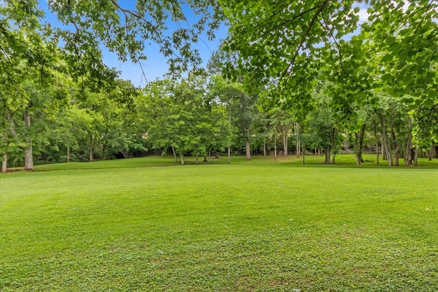 718 Midway St, Lewisburg, TN 37091 - view of green lawn featuring view of wooded area
