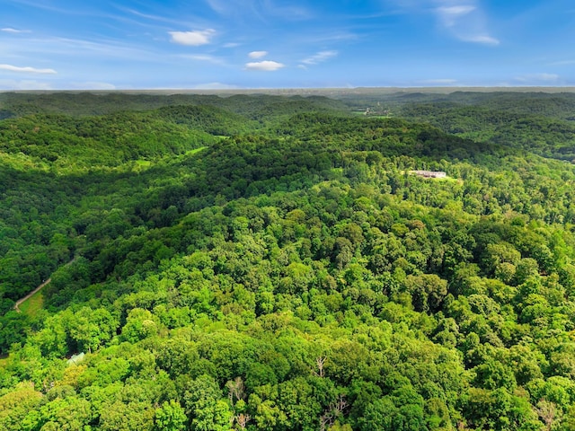 0 Tranham Rd, Whites Creek, TN 37189
