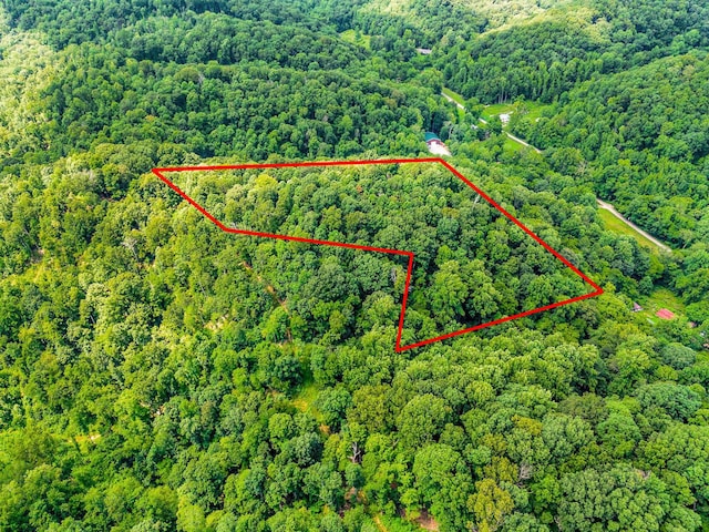 0 Tranham Rd, Whites Creek, TN 37189