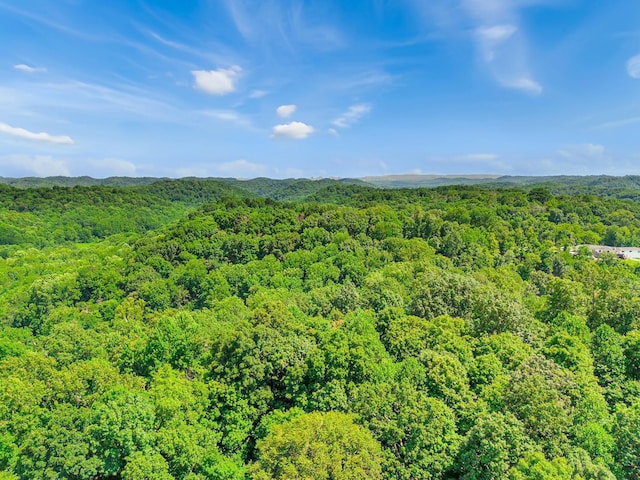 0 Tranham Rd, Whites Creek, TN 37189