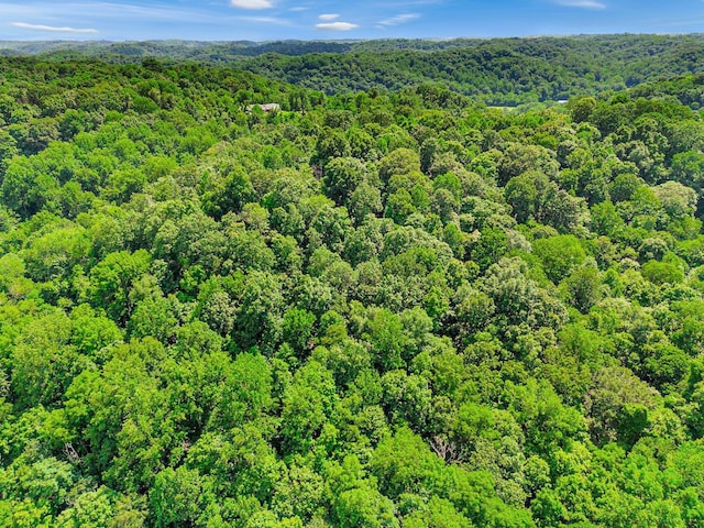0 Tranham Rd, Whites Creek, TN 37189