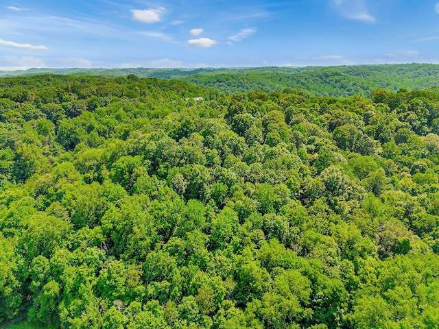 0 Tranham Rd, Whites Creek, TN 37189