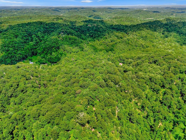 0 Tranham Rd, Whites Creek, TN 37189
