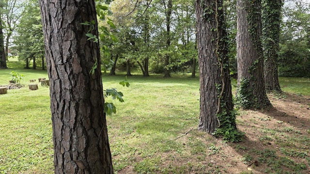 0 Lion Pkwy, Columbia, TN 38401