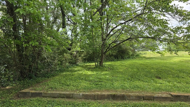 0 Lion Pkwy, Columbia, TN 38401