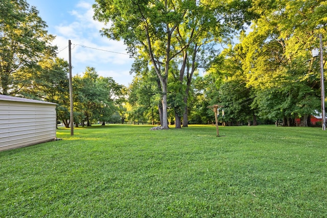 407 Idaho Springs Rd, Clarksville, TN 37043 - photo 37