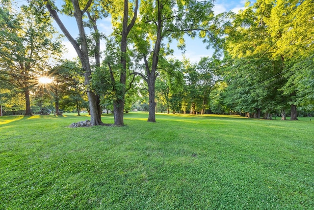 407 Idaho Springs Rd, Clarksville, TN 37043 - photo 38