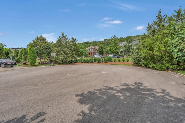 316 Wandering Cir, Franklin, TN 37067 - photo 63