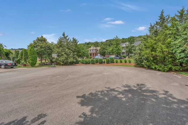 316 Wandering Cir, Franklin, TN 37067 - photo 55