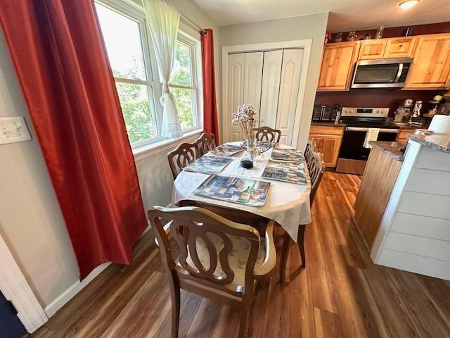 2082 Airport Ridge Rd, Linden, TN 37096 - dining room featuring dark wood finished floors