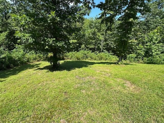 2082 Airport Ridge Rd, Linden, TN 37096 - view of grassy yard