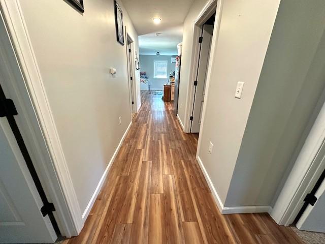 2082 Airport Ridge Rd, Linden, TN 37096 - hallway featuring wood finished floors and baseboards