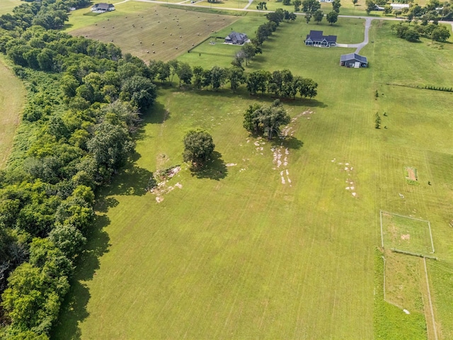 8385 Lascassas Pike, Lascassas, TN 37085 - photo 88