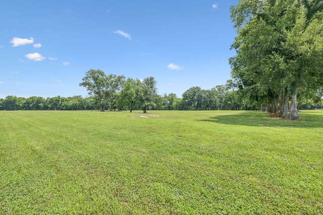 8385 Lascassas Pike, Lascassas, TN 37085 - photo 85