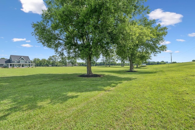 8385 Lascassas Pike, Lascassas, TN 37085 - photo 91