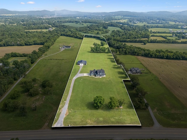 8385 Lascassas Pike, Lascassas, TN 37085 - photo 87