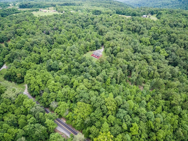 8631 Monterey Hwy, Monterey, TN 38574 - photo 46