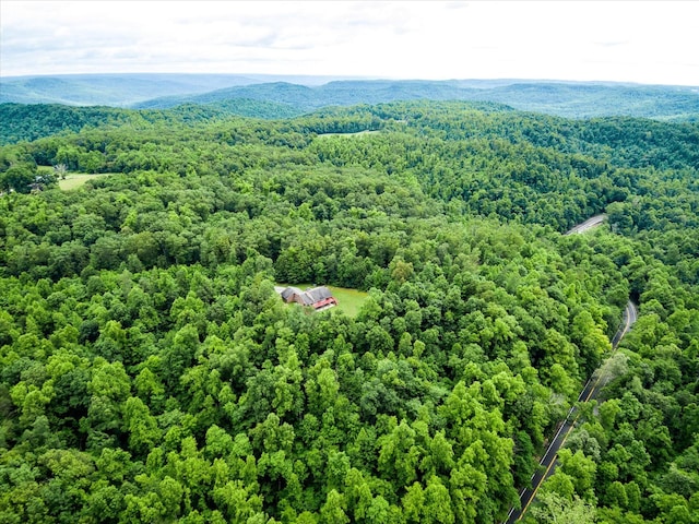8631 Monterey Hwy, Monterey, TN 38574 - photo 40