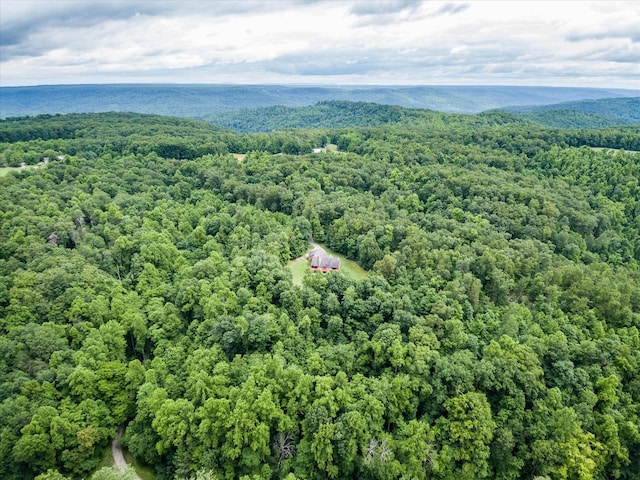 8631 Monterey Hwy, Monterey, TN 38574 - photo 42