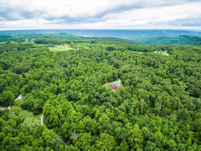 8631 Monterey Hwy, Monterey, TN 38574 - photo 44
