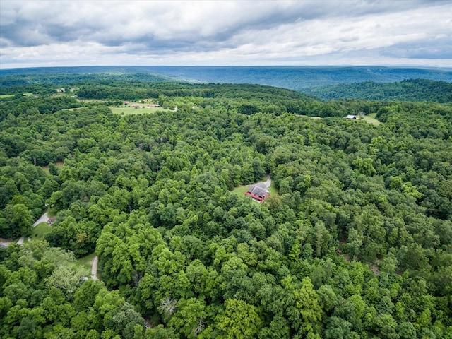 8631 Monterey Hwy, Monterey, TN 38574 - photo 43