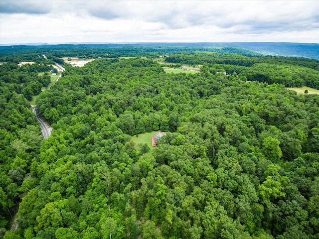 8631 Monterey Hwy, Monterey, TN 38574 - photo 49