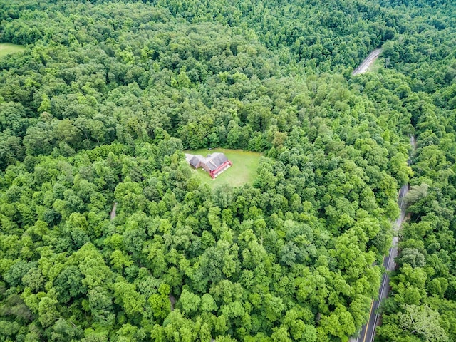 8631 Monterey Hwy, Monterey, TN 38574 - photo 37