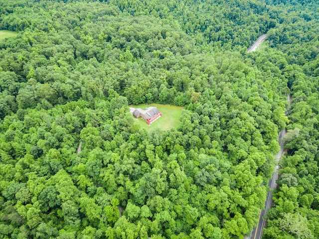 8631 Monterey Hwy, Monterey, TN 38574 - photo 38