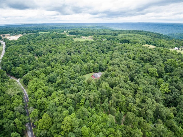 8631 Monterey Hwy, Monterey, TN 38574 - photo 48