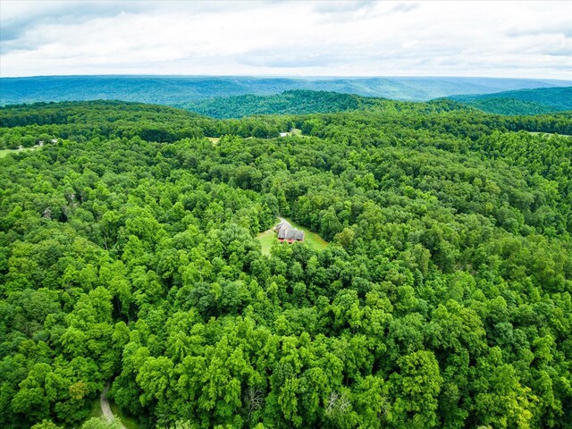 8631 Monterey Hwy, Monterey, TN 38574 - photo 41