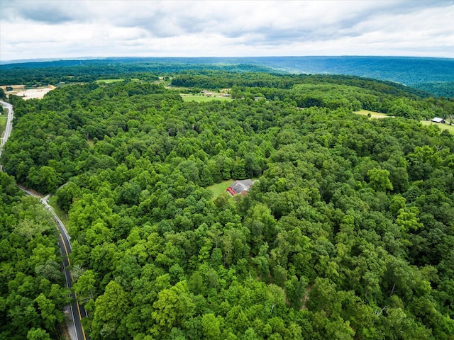 8631 Monterey Hwy, Monterey, TN 38574 - photo 47