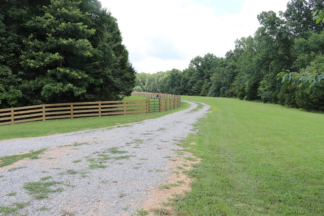 5988 Fly Hollow Rd, Santa Fe, TN 38482 - photo 7