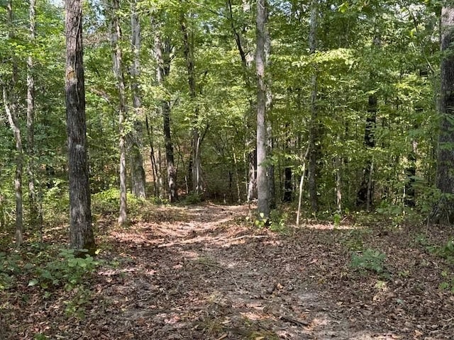 5988 Fly Hollow Rd, Santa Fe, TN 38482 - photo 11