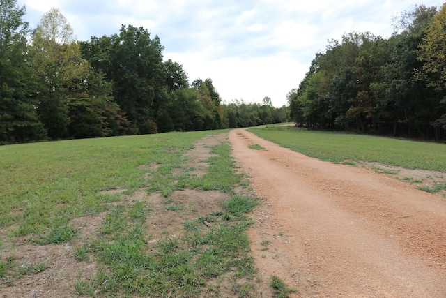 5988 Fly Hollow Rd, Santa Fe, TN 38482 - photo 28