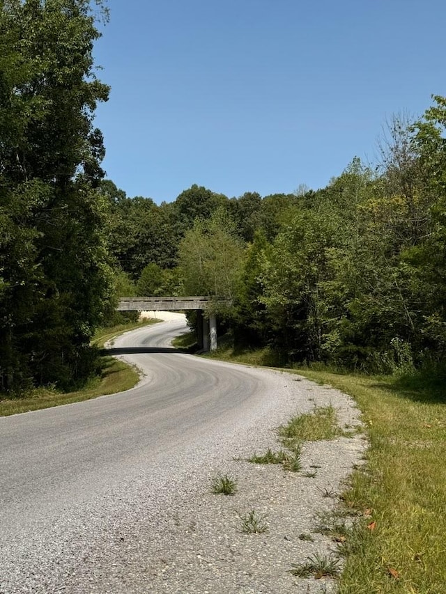 5988 Fly Hollow Rd, Santa Fe, TN 38482 - photo 10